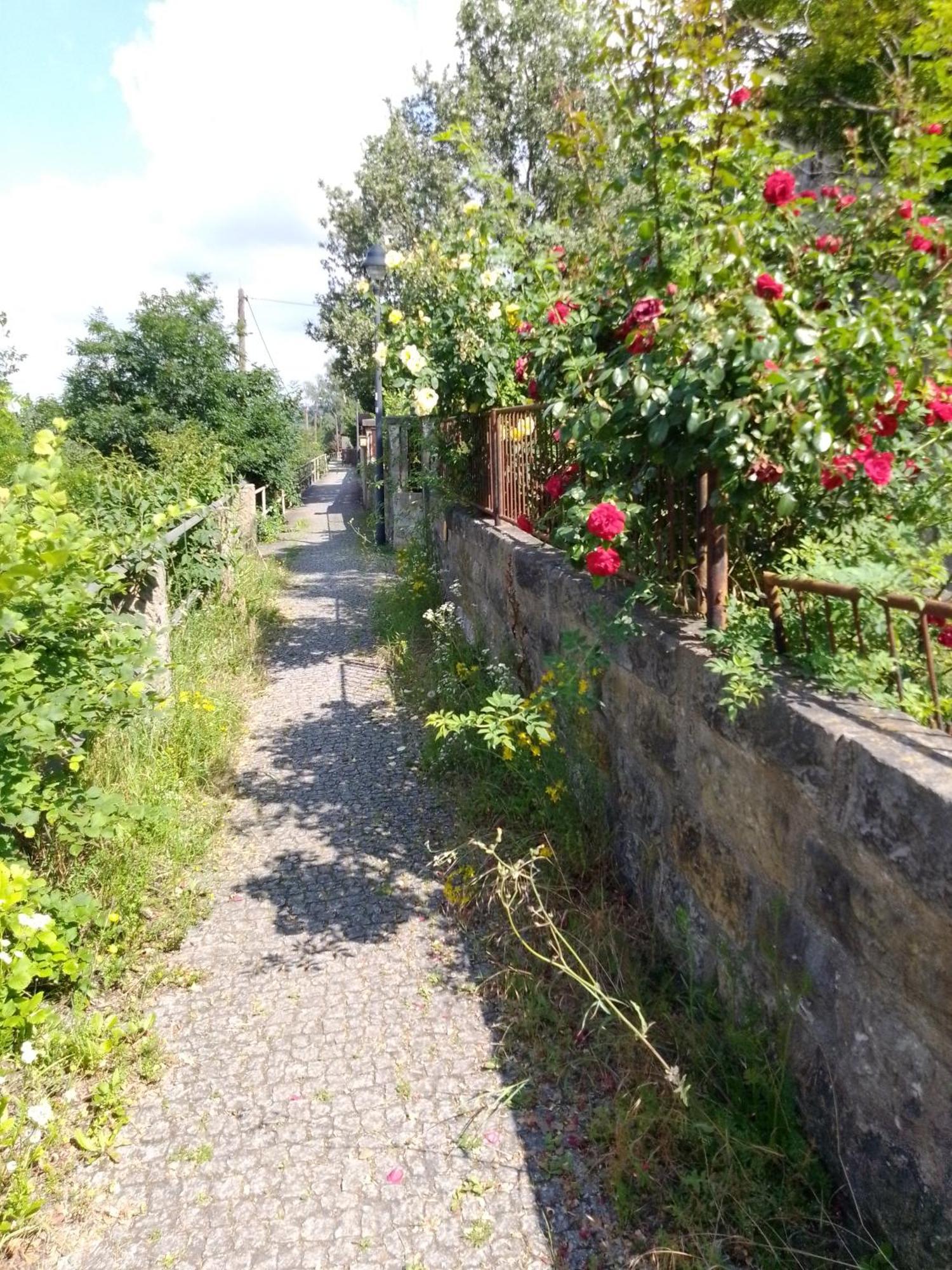 Dresden-Entspannung-Natur-Trifft-2-Staedte-Am-Fluss Exteriör bild